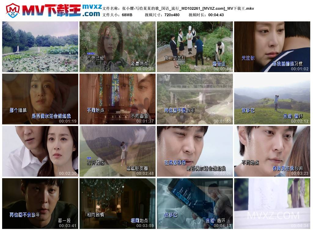 张小耀-写给某某的歌_国语_流行_MD102261
